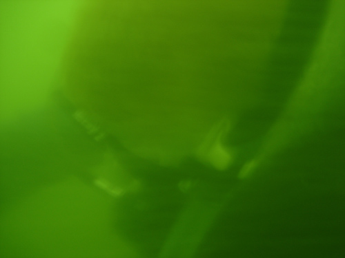 23JUN08_04.jpg