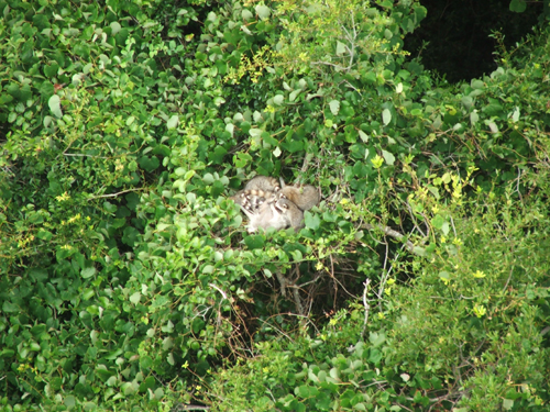 DSCF8489.JPG